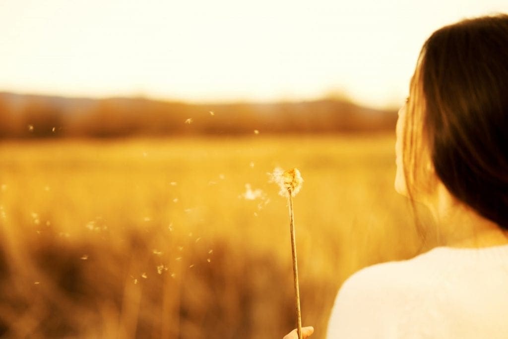 lady in a field blowing on a dandelion