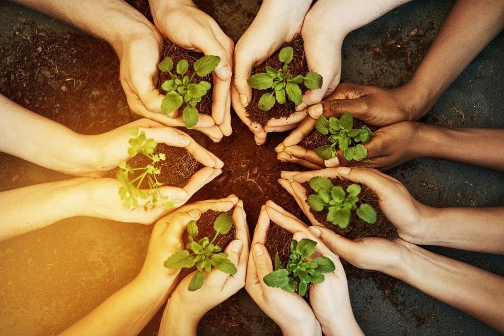 six pairs of hands each holding a mound of dirt with a plant forming a round circle of hands